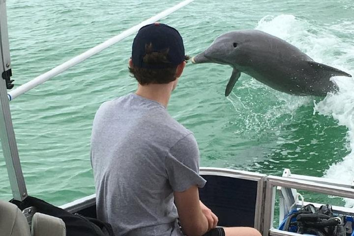 Small Group 2 Hour Dolphin Cruise with Snorkeling to Shell Key - Photo 1 of 11